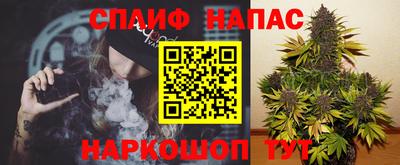 индика Ливны