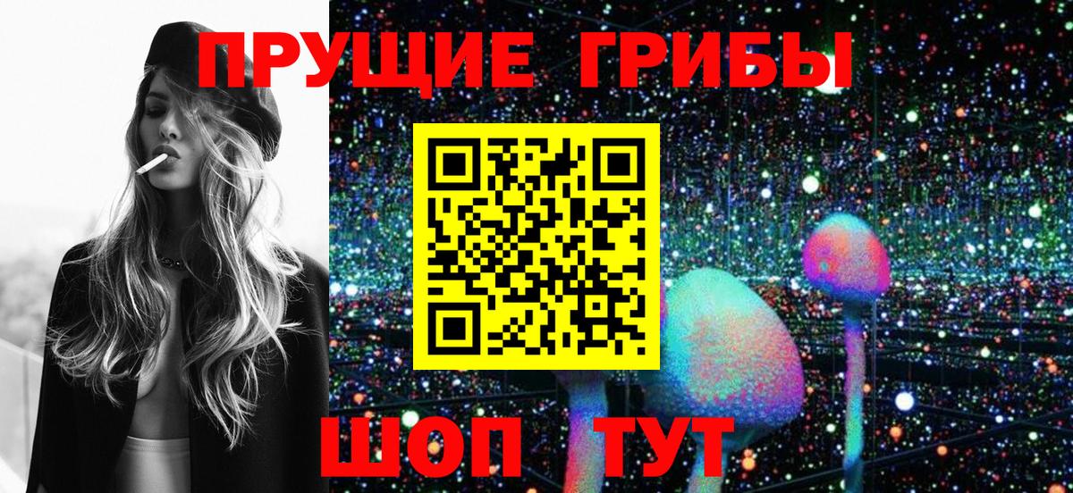 Галлюциногенные грибы Psilocybe  Вход с VPN  Кингисепп  Псилоцибиновые грибы ЛСД 