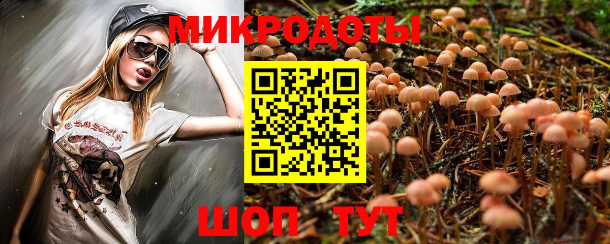 Псилоцибиновые грибы Psilocybe Кингисепп