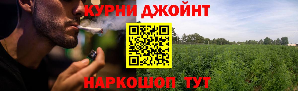 Бошки Шишки VHQ  Конопля сатива  Канабис MAZAR  Вход с VPN  Кингисепп 